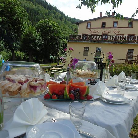 Zacisze Trzech Gor Villa Jedlina-Zdroj Exterior photo