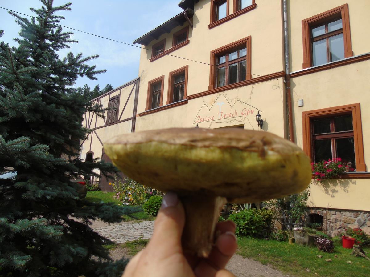 Zacisze Trzech Gor Villa Jedlina-Zdroj Exterior photo