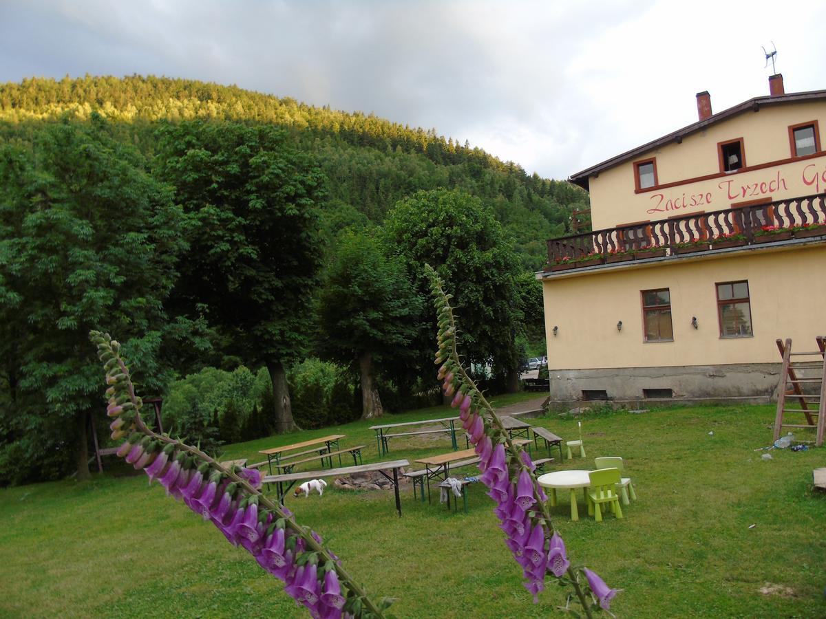 Zacisze Trzech Gor Villa Jedlina-Zdroj Exterior photo
