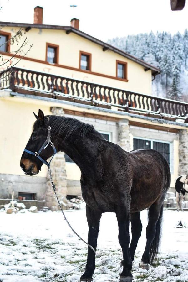 Zacisze Trzech Gor Villa Jedlina-Zdroj Exterior photo