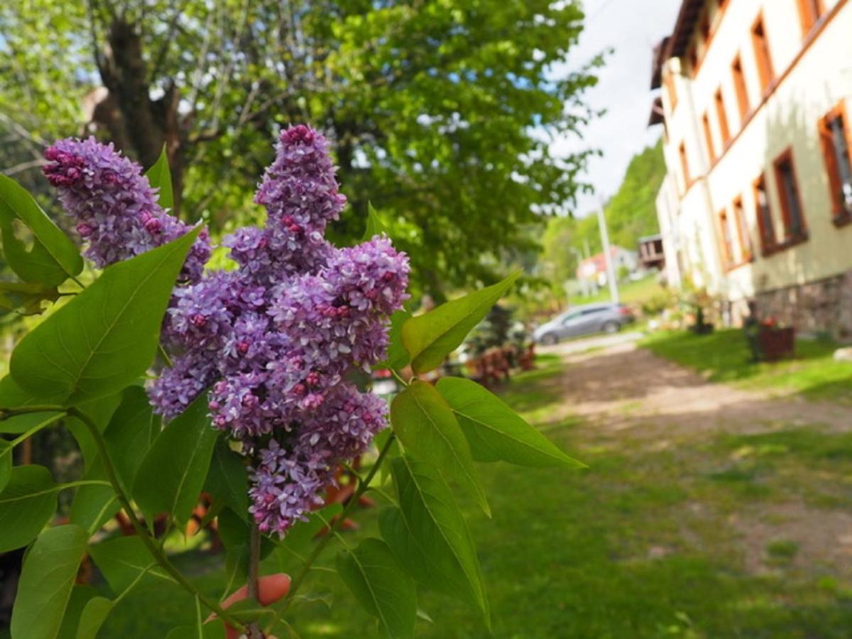 Zacisze Trzech Gor Villa Jedlina-Zdroj Exterior photo